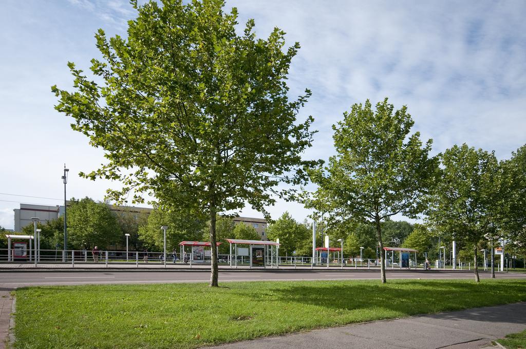Gwg City Apartments II Halle  Rum bild